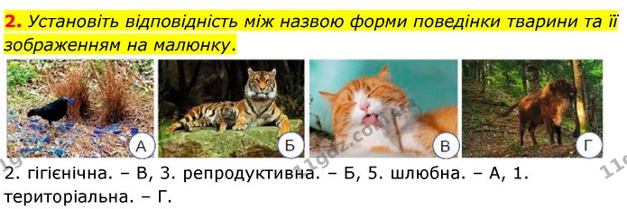 Стор. 162 — Стр.162 (3.2) — ГДЗ Біологія 7 клас Балан — ГДЗ Біологія 7 клас Балан