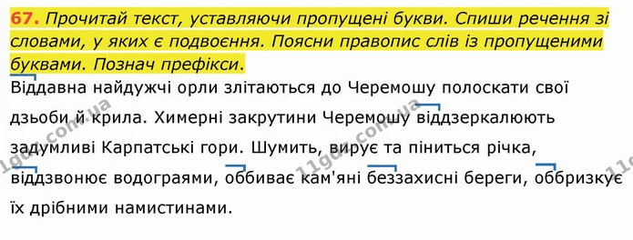 67. Прочитай текст, уставляючи пропущені букви. Спиши речення зі словами, у яких є подвоєння. Поясни правопис слів із пропущеними — ГДЗ Українська мова та читання 4 клас Захарійчук