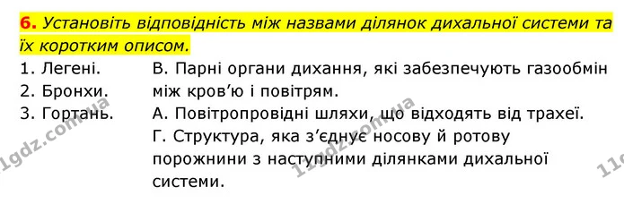 6. Установіть відповідність між назвами ділянок дихальної системи та їх коротким описом. — ГДЗ Робочий зошит Біологія 8 клас Задорожний