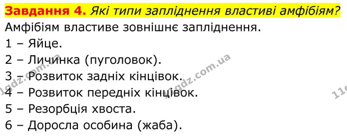 4. Які типи запліднення властиві амфібіям? — ГДЗ Робочий зошит Біологія 7 клас Мирна 2024