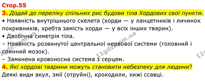 3. Додай до переліку спільних рис будови тіла Хордових свої пункти. — ГДЗ робочий зошит Біологія 7 клас Тагліна