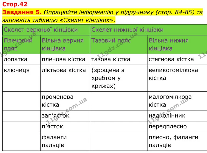 Стор. 42 — 5 — ГДЗ Робочий зошит біологія 8 клас Мирна — ГДЗ Робочий зошит біологія 8 клас Мирна