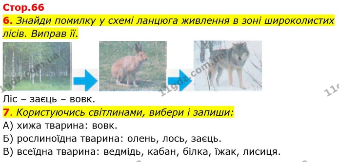 6. Знайди помилку у схемі ланцюга живлення в зоні широколистих лісів. Виправ її. — ГДЗ Робочий зошит Я досліджую світ 4 клас Гільберг