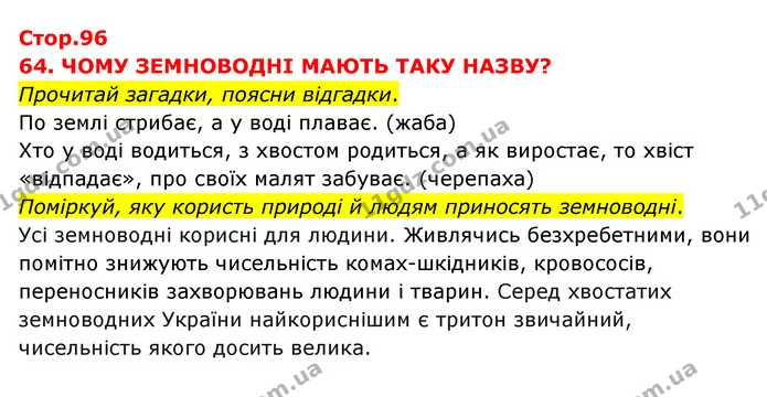 Прочитай загадки, поясни відгадки. — ГДЗ Я досліджую світ 3 клас Грущинська (1 частина)
