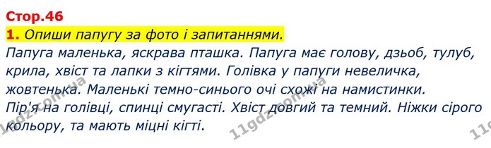 1. Опиши папугу за фото і запитаннями. — ГДЗ Українська мова 2 клас Большакова 1 ч. - 2 ч.