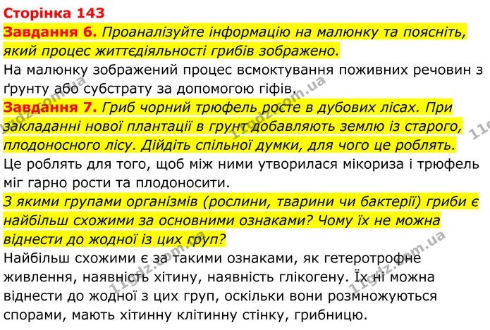 6. Проаналізуйте інформацію на малюнку та поясніть, який процес життєдіяльності грибів зображено. — ГДЗ Робочий зошит Біологія 7 клас Мирна 2024