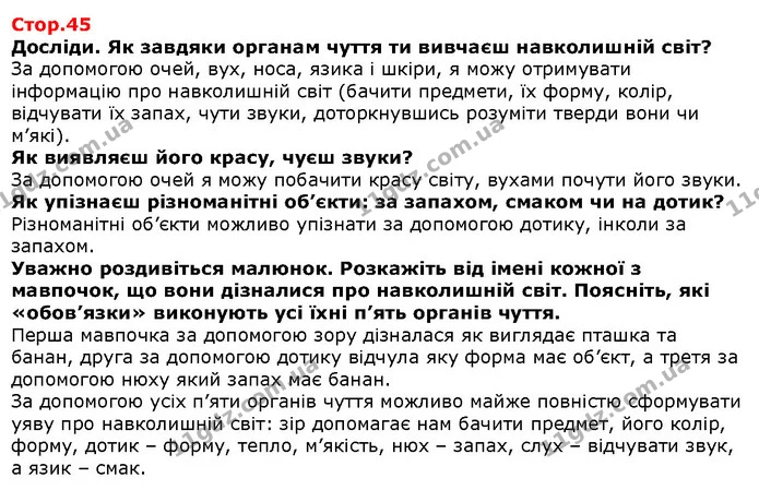 Досліди. Як завдяки органам чуття ти вивчаєш навколишній світ? — Решебник Я досліджую світ 1 клас Грущинська