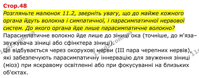 Розгляньте малюнок 11.2, зверніть увагу, що до майже кожного органа йдуть волокна і симпатичної, і парасимпатичної нервової систем. До — ГДЗ Біологія 8 клас Балан
