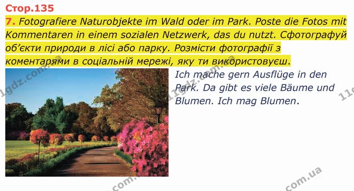 7. Fotografiere Naturobjekte im Wald oder im Park. Poste die Fotos mit Kommentaren in einem sozialen Netzwerk, das du nutzt — ГДЗ Німецька мова 5 клас Сотникова (1 рік)
