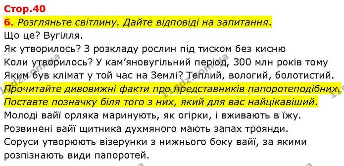 6. Розгляньте світлину. Дайте відповіді на запитання. — ГДЗ робочий зошит Біологія 7 клас Кулініч