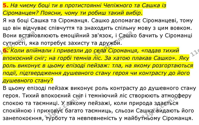 5. На чиєму боці ти в протистоянні Чепіжного та Сашка із Сіроманцем? Поясни, чому ти робиш такий вибір. — ГДЗ Українська література 6 клас Коваленко 2023