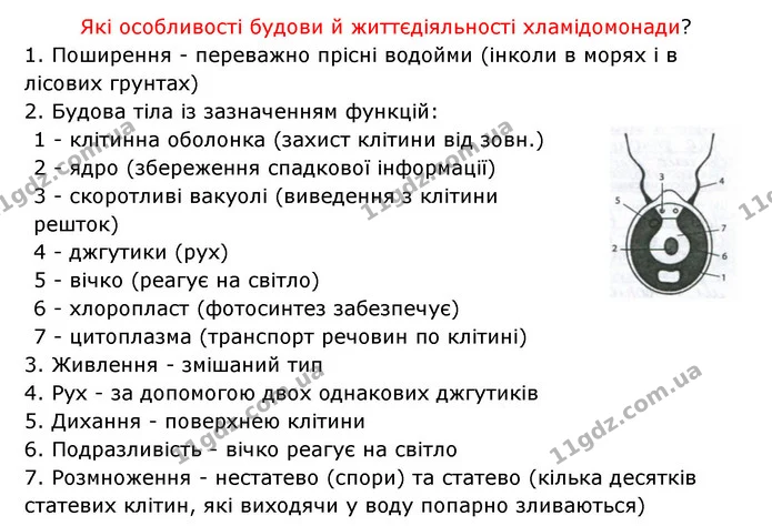 Стор. 21 — 3 — ГДЗ Робочий зошит Біологія 6 клас Соболь — ГДЗ Робочий зошит Біологія 6 клас Соболь