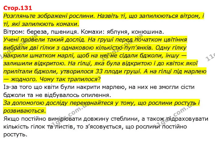 Розгляньте зображені рослини. Назвіть ті, що запилюються вітром, і ті, які запилюють комахи. — ГДЗ Я досліджую світ 3 клас Гільберг 1-2 ч.