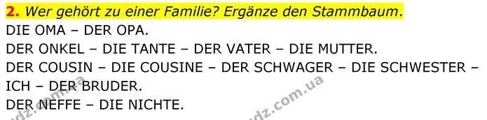 2. Wer gehört zu einer Familie? Ergänze den Stammbaum. — ГДЗ Німецька мова 8 клас Сотникова (2025) 4 рік