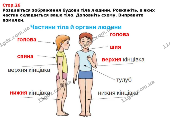 Досліди. Які зміни відбуваються в природі взимку? — Решебник Я досліджую світ 1 клас Грущинська