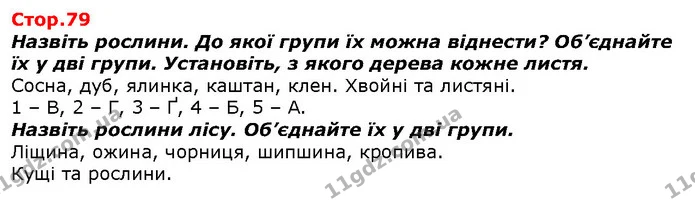 Назвіть рослини. До якої групи їх можна віднести? Об’єднайте їх у дві групи. Установіть, з якого дерева кожне листя. — ГДЗ Я досліджую світ 1 клас Гільберг