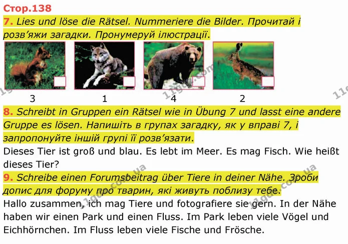 7. Lies und löse die Rätsel. Nummeriere die Bilder. Прочитай і розв’яжи загадки. Пронумеруй ілюстрації. — ГДЗ Німецька мова 5 клас Сотникова (1 рік)