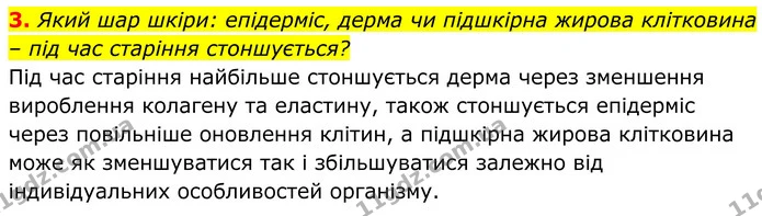 3. Який шар шкіри: епідерміс, дерма чи підшкірна жирова клітковина – під час старіння стоншується? — ГДЗ Біологія 8 клас Балан