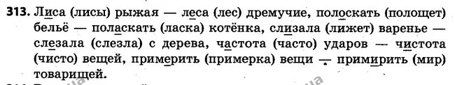 313 — ГДЗ Русский язык 4 класс Самонова, Стативка 2015