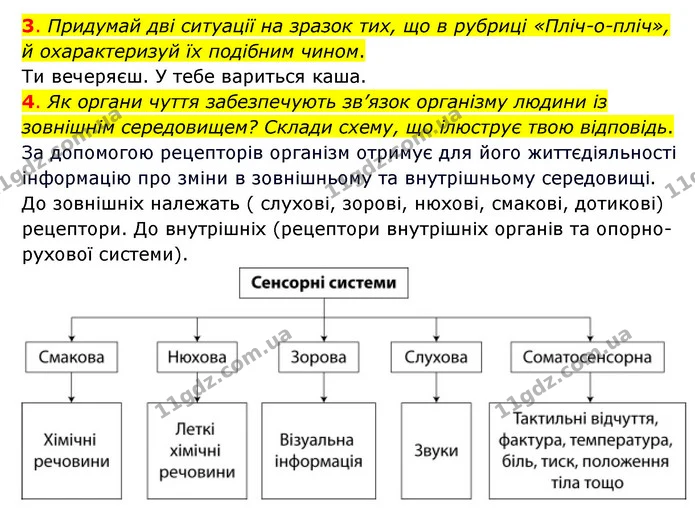 3. Придумай дві ситуації на зразок тих, що в рубриці «Пліч-о-пліч», й охарактеризуй їх подібним чином. — ГДЗ Пізнаємо природу 6 клас Коршевнюк