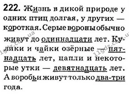 222 — ГДЗ Русский язык 4 класс Сильнова, Каневская 2015