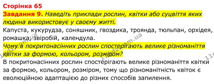 9. Наведіть приклади рослин, квітки або суцвіття яких людина використовує у своєму житті. — ГДЗ Робочий зошит Біологія 7 клас Мирна 2024