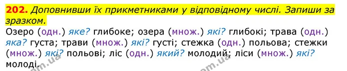 202. Доповнивши їх прикметниками у відповідному числі. Запиши за зразком. — ГДЗ Українська мова та читання 3 клас Захарійчук 2020