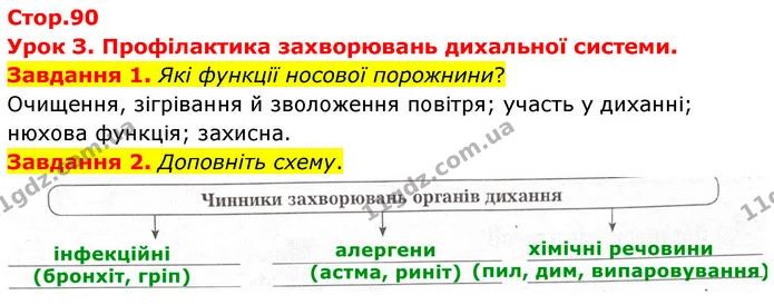 Стор. 90 — 1-2 — ГДЗ Робочий зошит біологія 8 клас Мирна — ГДЗ Робочий зошит біологія 8 клас Мирна
