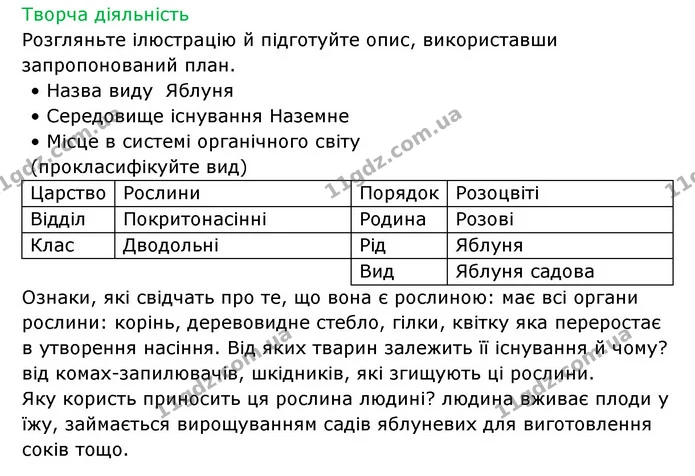 Стор. 66 — 2 — ГДЗ Робочий зошит Біологія 6 клас Соболь — ГДЗ Робочий зошит Біологія 6 клас Соболь