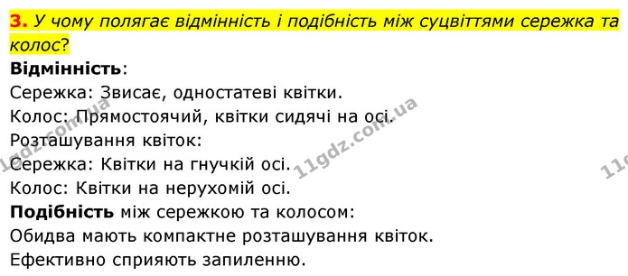 3. У чому полягає відмінність і подібність між суцвіттями сережка та колос? — ГДЗ Біологія 7 клас Балан