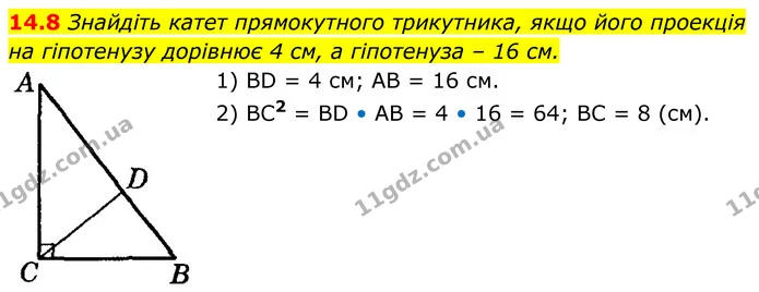 14.8 Знайдіть катет прямокутного трикутника, якщо його проекція на гіпотенузу дорівнює 4 см, а гіпотенуза – 16 см. — ГДЗ Геометрія 8 клас Істер