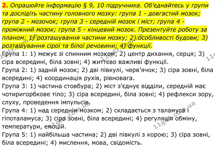 2. Опрацюйте інформацію § 9, 10 підручника. Об’єднайтесь у групи та дослідіть частину головного мозку: група 1 – довгастий мозок; група — ГДЗ Робочий зошит Біологія 8 клас Кулініч