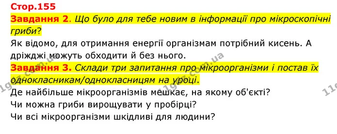 Стор. 155 — 2-3 — ГДЗ Пізнаємо природу 6 клас Коршевнюк — ГДЗ Пізнаємо природу 6 клас Коршевнюк
