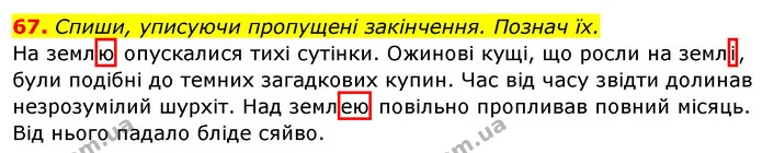 67. Спиши, уписуючи пропущені закінчення. Познач їх. — ГДЗ Українська мова та читання 3 клас Захарійчук 2020