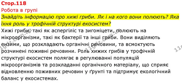 Знайдіть інформацію про хижі гриби. Як і на кого вони полюють? Яка їхня роль у трофічній структурі екосистем? — ГДЗ Біологія 7 клас Тагліна