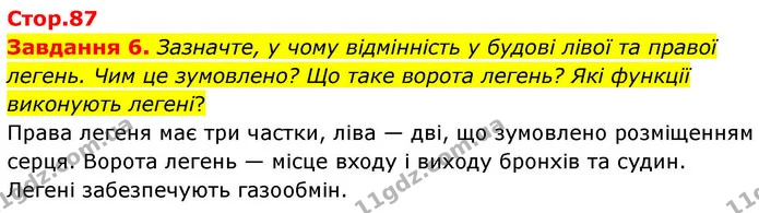 Стор. 87 — 6 — ГДЗ Робочий зошит біологія 8 клас Мирна — ГДЗ Робочий зошит біологія 8 клас Мирна
