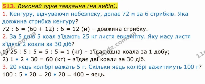 513. Виконай одне завдання (на вибір). — ГДЗ Математика 4 клас Лишенко 1-2 ч.