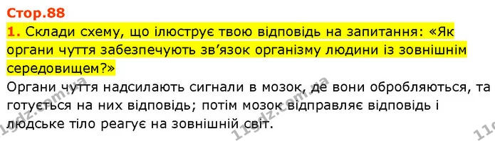Стор. 88 — 1 — ГДЗ Робочий зошит Пізнаємо природу 6 клас Коршевнюк — ГДЗ Робочий зошит Пізнаємо природу 6 клас Коршевнюк
