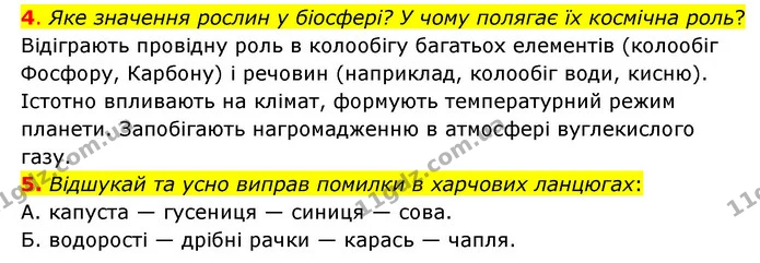 4. Яке значення рослин у біосфері? У чому полягає їх космічна роль? — ГДЗ Пізнаємо природу 6 клас Коршевнюк
