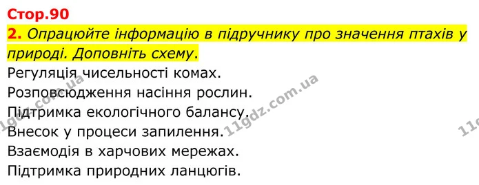 2. Опрацюйте інформацію в підручнику про значення птахів у природі. Доповніть схему. — ГДЗ робочий зошит Біологія 7 клас Кулініч