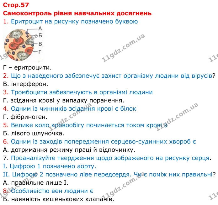 Самоконтроль рівня навчальних досягнень — ГДЗ робочий зошит Біологія 8 клас Андерсон