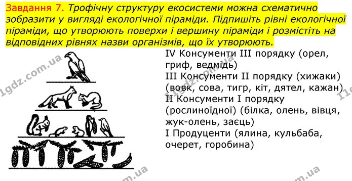 Стор. 100 — 7 — ГДЗ Робочий зошит з Біології 7 клас Яременко — ГДЗ Робочий зошит з Біології 7 клас Яременко