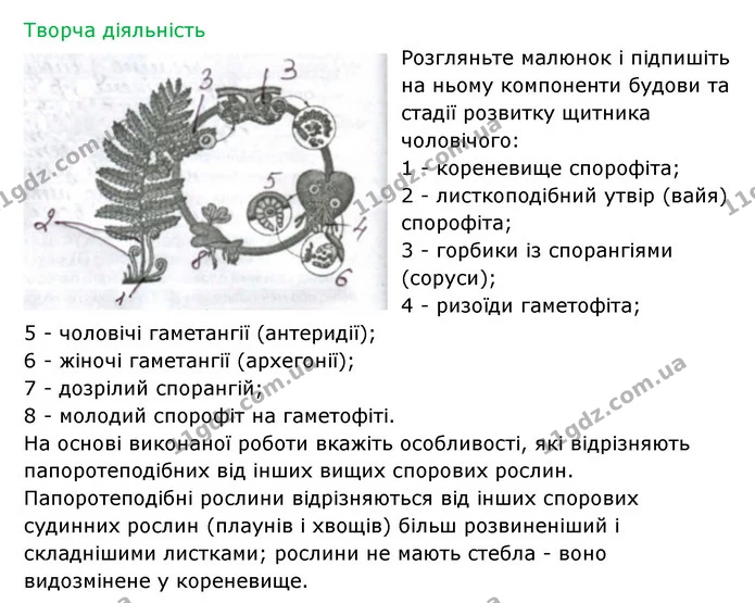Стор. 74 — 2 — ГДЗ Робочий зошит Біологія 6 клас Соболь — ГДЗ Робочий зошит Біологія 6 клас Соболь