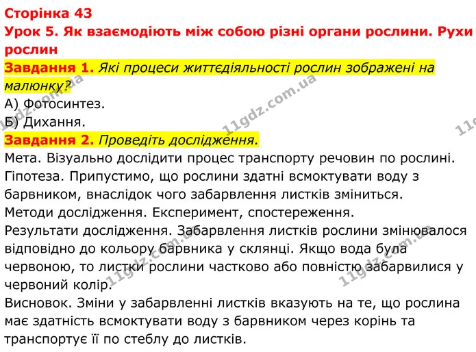 1. Які процеси життєдіяльності рослин зображені на малюнку? — ГДЗ Робочий зошит Біологія 7 клас Мирна 2024