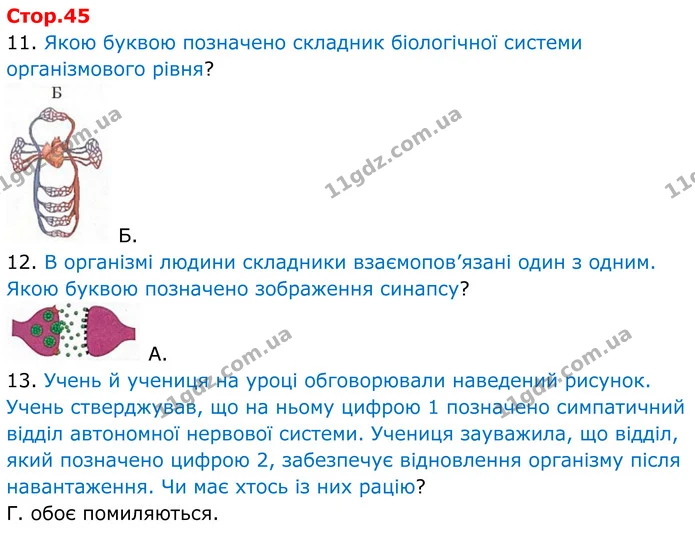 11. Якою буквою позначено складник біологічної системи організмового рівня? — ГДЗ робочий зошит Біологія 8 клас Андерсон