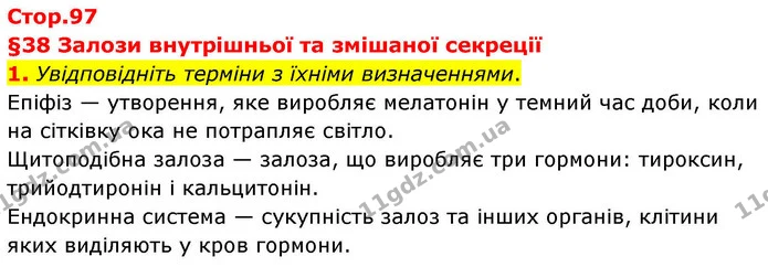 1. Увідповідніть терміни з їхніми визначеннями. — ГДЗ Робочий зошит Біологія 8 клас Тагліна (2025)