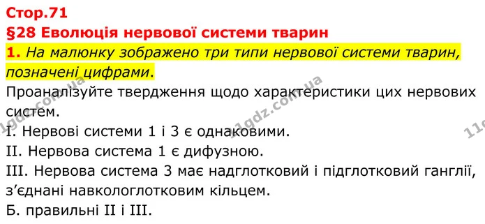 1. На малюнку зображено три типи нервової системи тварин, позначені цифрами. — ГДЗ Робочий зошит Біологія 8 клас Тагліна (2025)