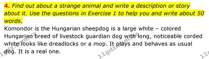 4. Find out about a strange animal and write a description or story about it. Use the questions in Exercise 1 to help you and write — ГДЗ робочий зошит Англійська мова 6 клас Prepare
