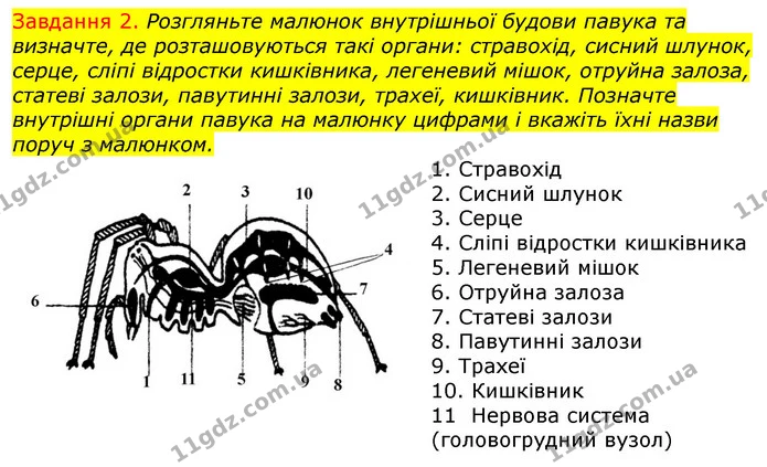 Стор. 22 — 2 — ГДЗ Робочий зошит з Біології 7 клас Яременко — ГДЗ Робочий зошит з Біології 7 клас Яременко