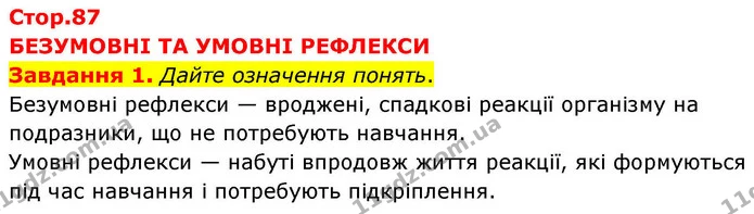 Стор. 87 — 1 — ГДЗ робочий зошит Біологія 8 клас Андерсон — ГДЗ робочий зошит Біологія 8 клас Андерсон